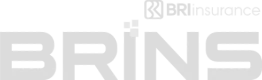 Brins gs